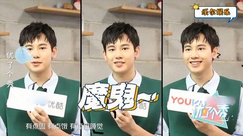 胡先煦电视剧,青春成长路上的璀璨星光