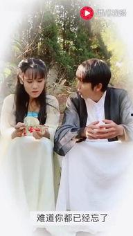 青丘狐传说电视剧剧情,千年狐仙的宿命纠葛与爱恨情仇