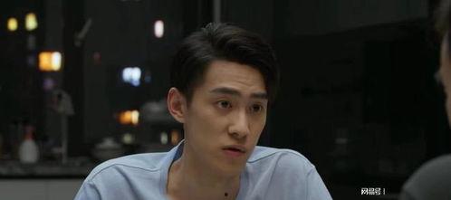 平凡之路电视剧主演,主演阵容揭秘，实力派演员演绎人生百态